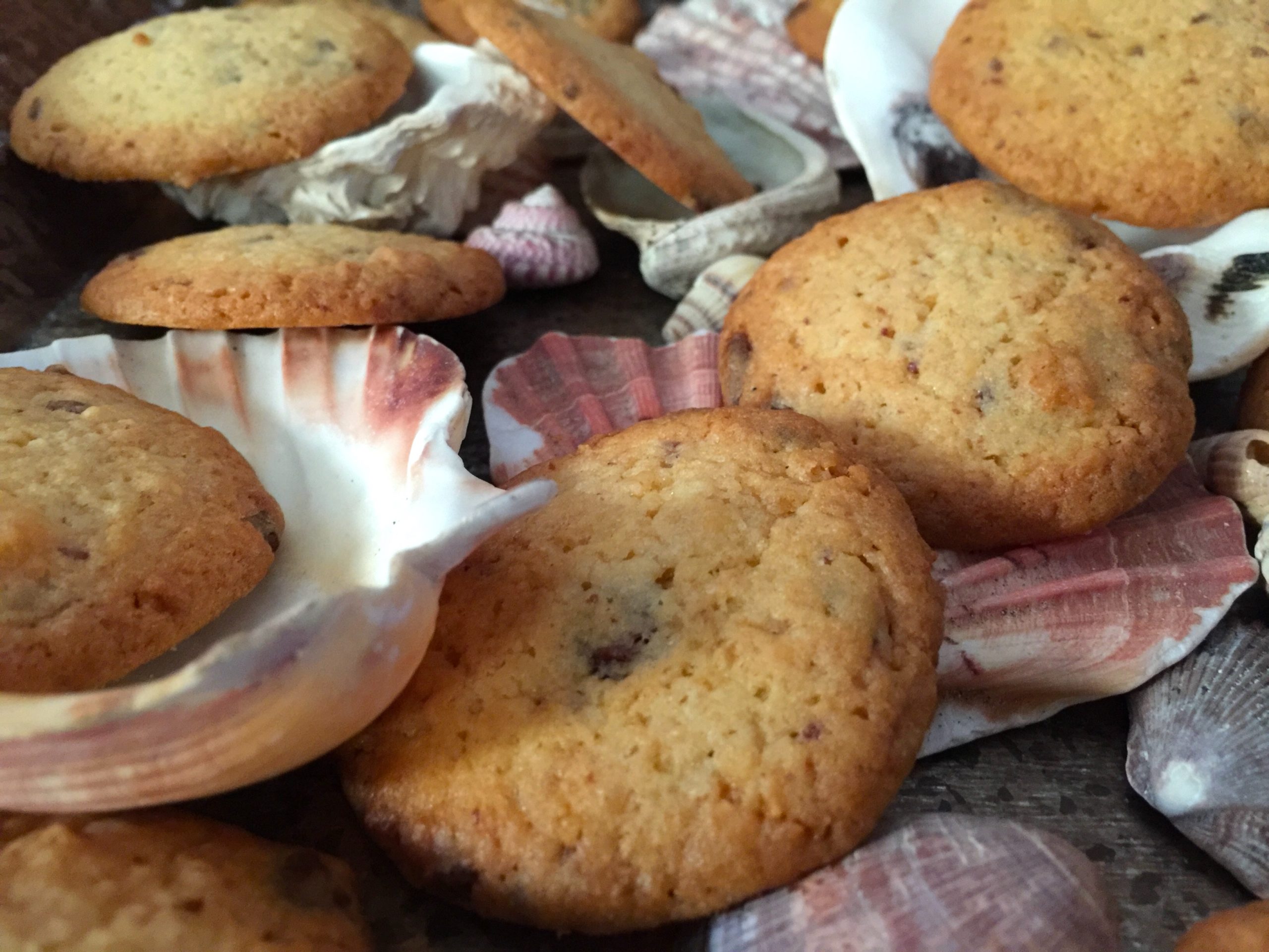 Cookies Of The Caribbean Sweet And Salted Food Blog   Cbeitrag 1 Scaled 